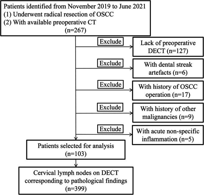 https://cdn.ncbi.nlm.nih.gov/pmc/blobs/5631/9755094/844ad194ca9a/330_2022_9033_Fig2_HTML.jpg