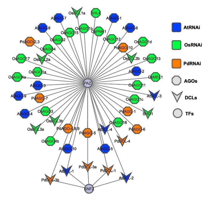 https://cdn.ncbi.nlm.nih.gov/pmc/blobs/5632/10943882/9985d1ca2050/12863_2024_1217_Fig6_HTML.jpg