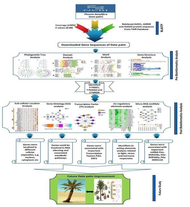 https://cdn.ncbi.nlm.nih.gov/pmc/blobs/5632/10943882/b5eb2e1cdff3/12863_2024_1217_Fig1_HTML.jpg