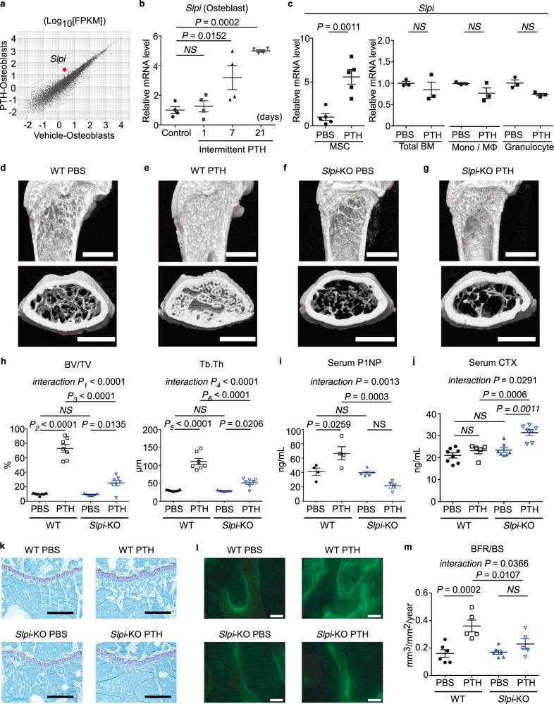 https://cdn.ncbi.nlm.nih.gov/pmc/blobs/5632/8035405/1032224350c0/41467_2021_22402_Fig1_HTML.jpg