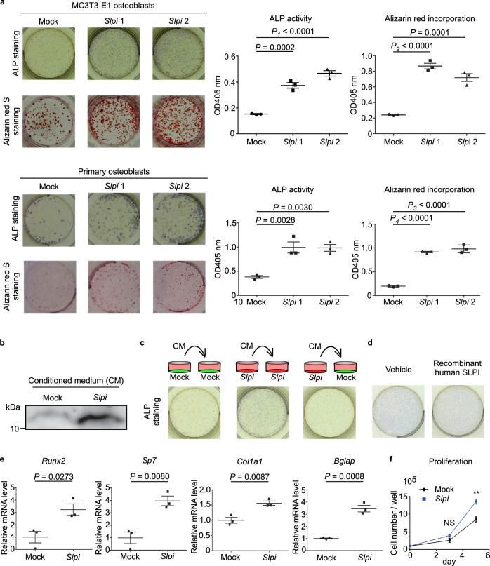https://cdn.ncbi.nlm.nih.gov/pmc/blobs/5632/8035405/2f103948e01c/41467_2021_22402_Fig2_HTML.jpg
