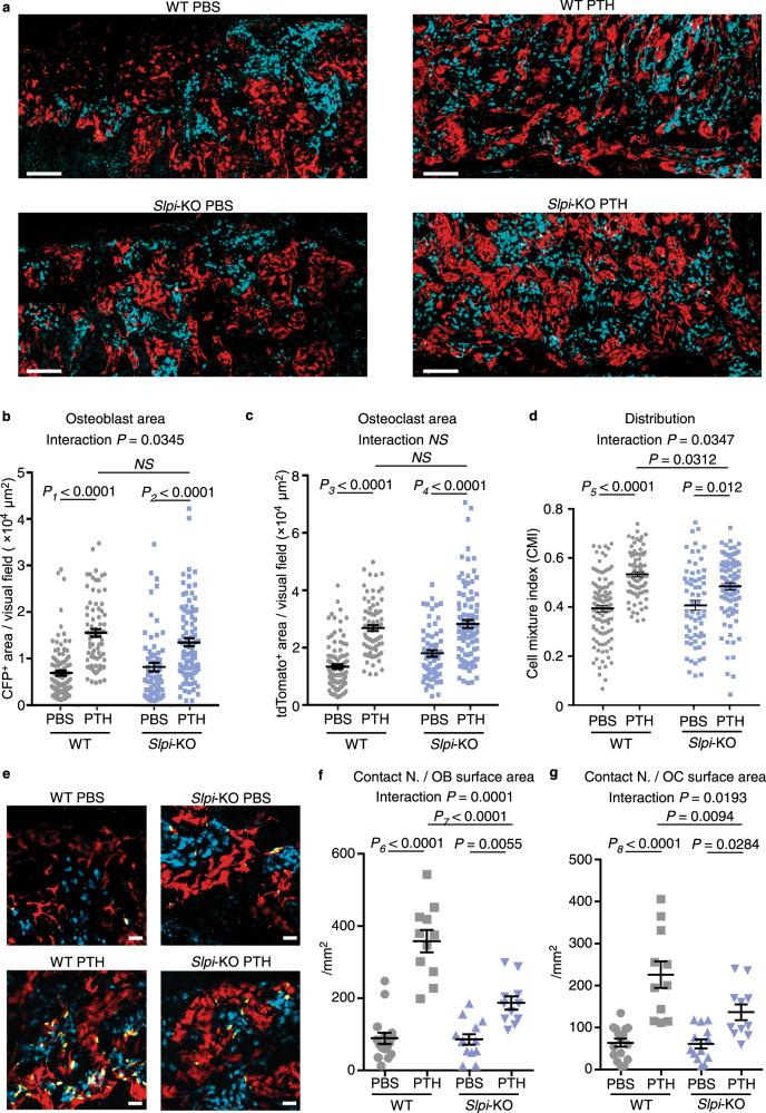 https://cdn.ncbi.nlm.nih.gov/pmc/blobs/5632/8035405/50bd6ac9eb27/41467_2021_22402_Fig4_HTML.jpg