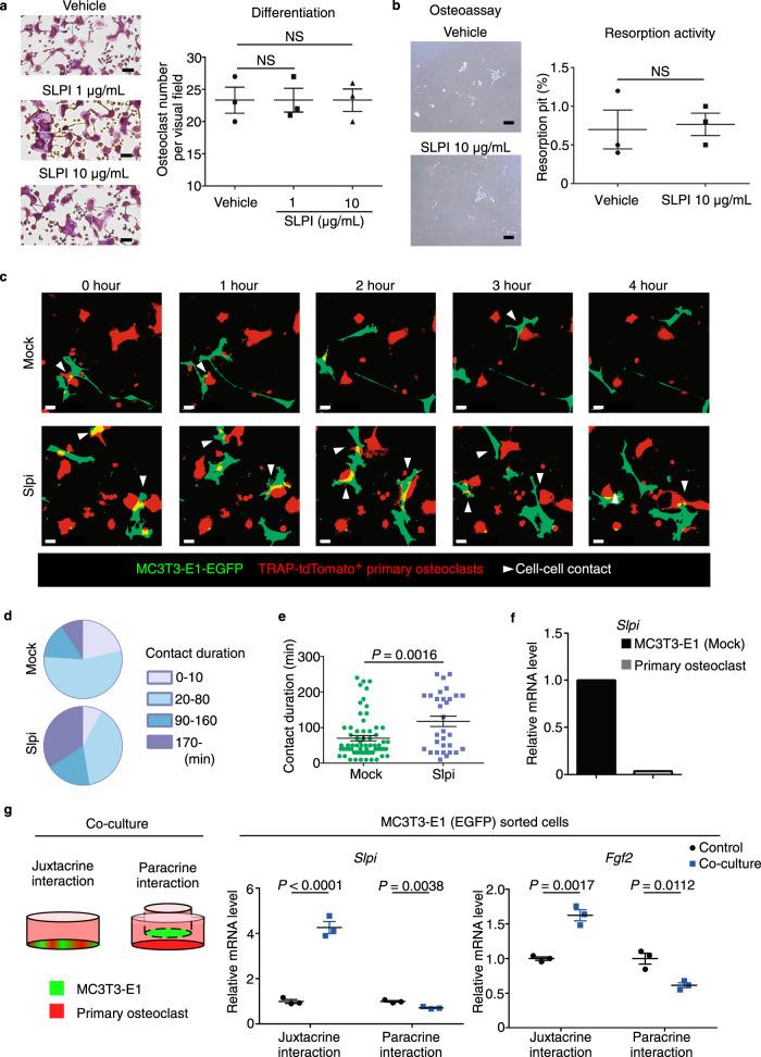 https://cdn.ncbi.nlm.nih.gov/pmc/blobs/5632/8035405/ae8df7fe7a6d/41467_2021_22402_Fig3_HTML.jpg
