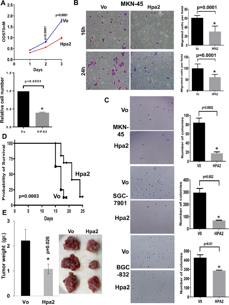 https://cdn.ncbi.nlm.nih.gov/pmc/blobs/5632/8349917/5809fbae9ce3/gr2.jpg