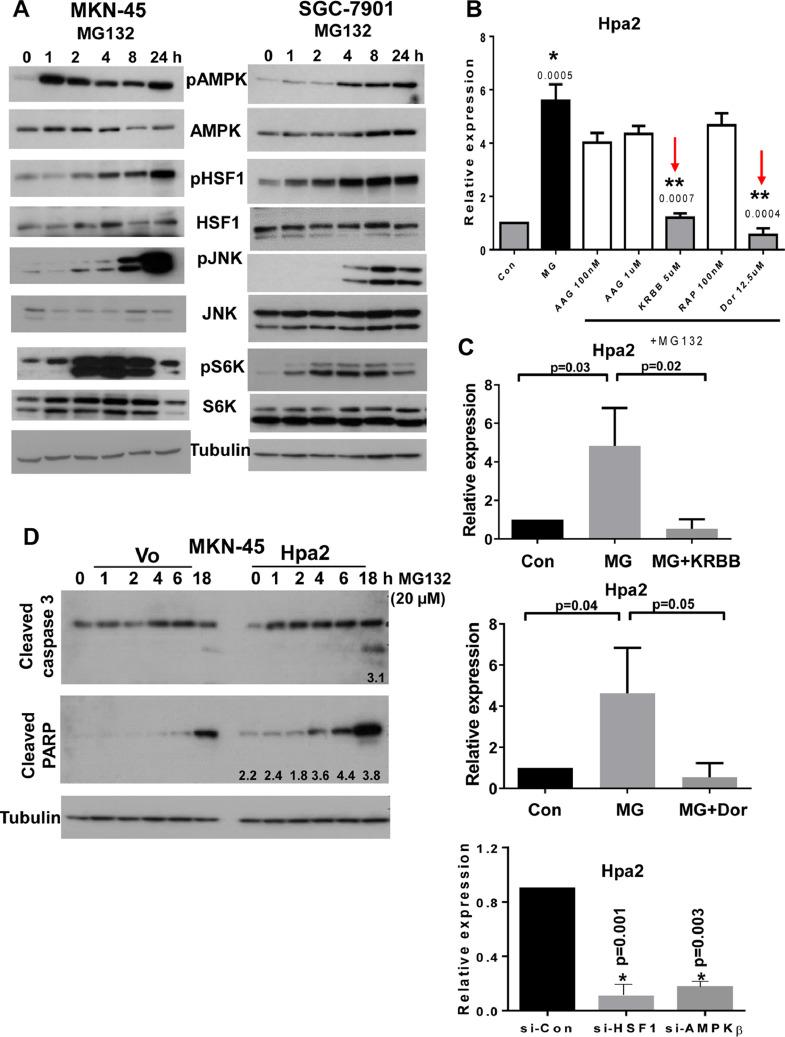 https://cdn.ncbi.nlm.nih.gov/pmc/blobs/5632/8349917/fd1f53602a66/gr4.jpg