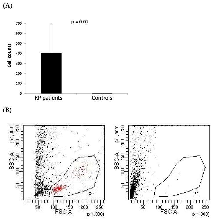 https://cdn.ncbi.nlm.nih.gov/pmc/blobs/5633/11641927/7e39679b55bd/ijms-25-13163-g001.jpg