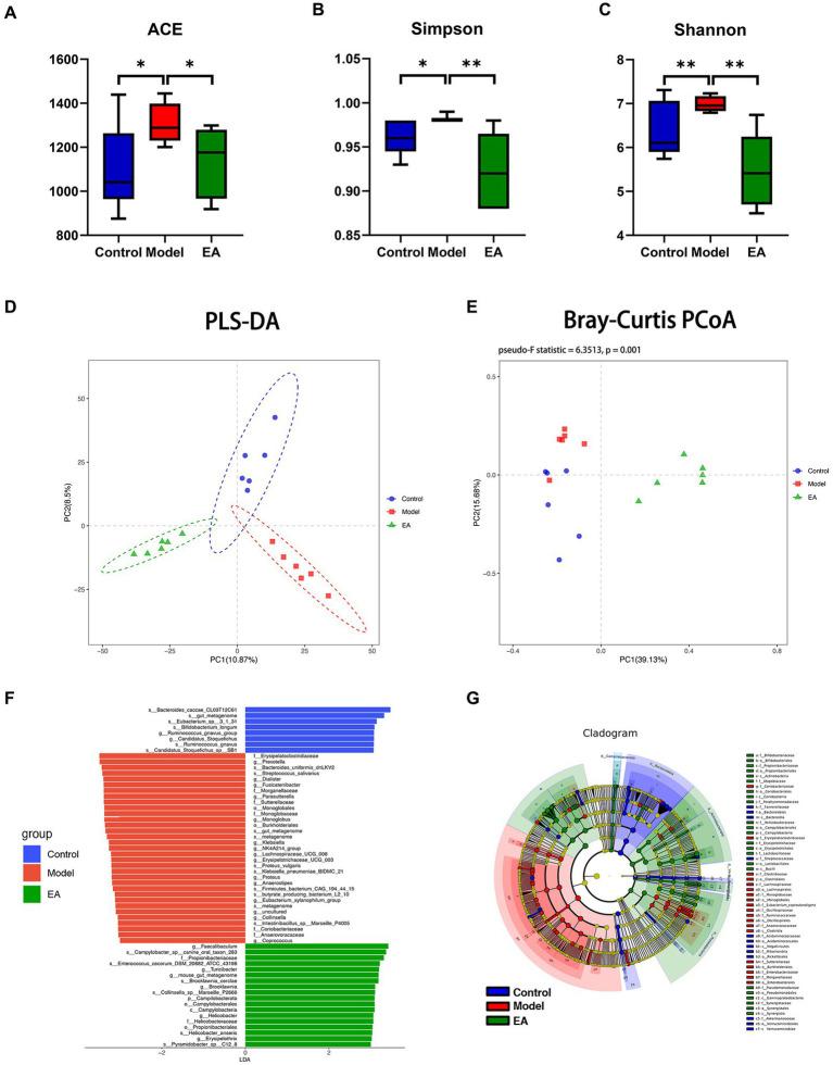 https://cdn.ncbi.nlm.nih.gov/pmc/blobs/5636/10915097/fc6d521b4b53/fmicb-15-1358525-g002.jpg