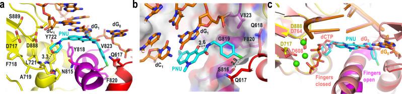 https://cdn.ncbi.nlm.nih.gov/pmc/blobs/5637/8144222/3c903e4cee4a/41467_2021_23312_Fig4_HTML.jpg