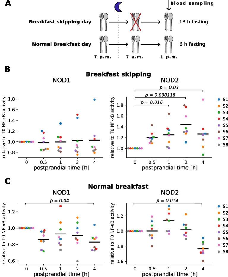 https://cdn.ncbi.nlm.nih.gov/pmc/blobs/5638/12237675/500e3d456f7f/fnut-12-1596951-g004.jpg