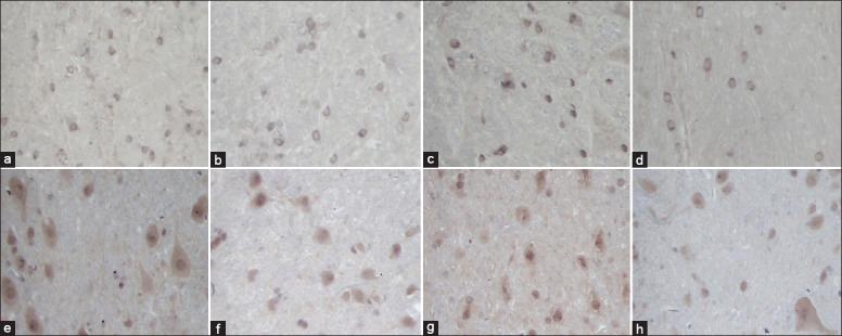 https://cdn.ncbi.nlm.nih.gov/pmc/blobs/5638/4756899/ebdf6e0db294/CMJ-128-2926-g001.jpg