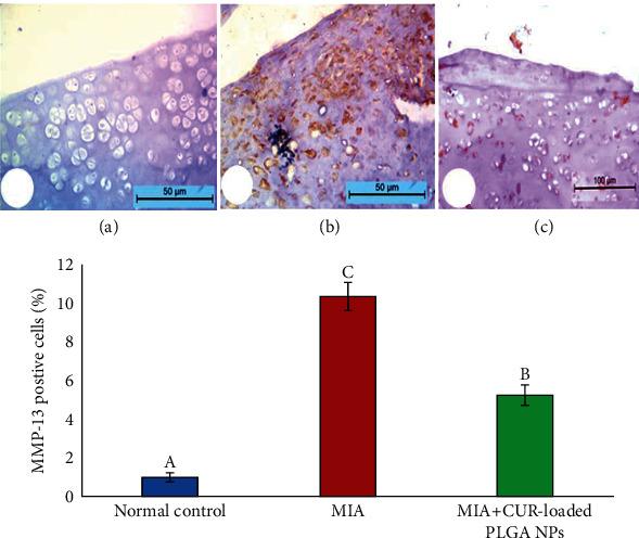 https://cdn.ncbi.nlm.nih.gov/pmc/blobs/5638/9792255/6c8df2c7c0cb/MI2022-8353472.010.jpg