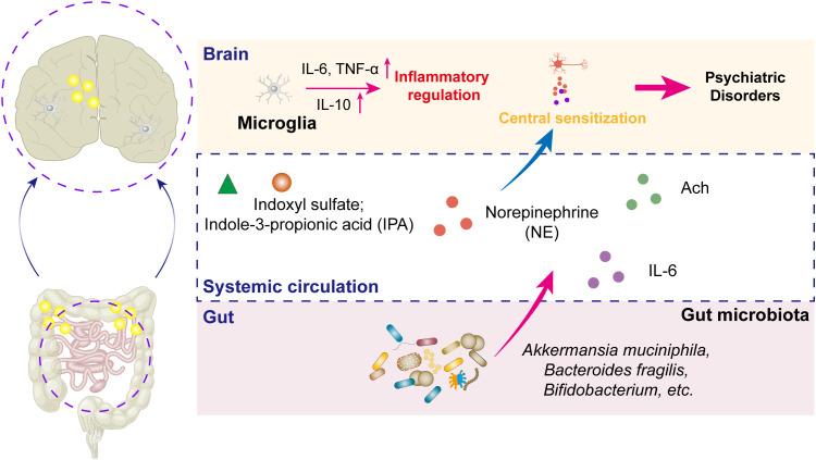https://cdn.ncbi.nlm.nih.gov/pmc/blobs/5639/12405184/73b4ef4f4b04/fimmu-16-1613027-g001.jpg