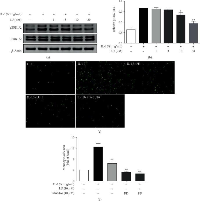 https://cdn.ncbi.nlm.nih.gov/pmc/blobs/563a/7585660/84e7298505d5/MI2020-9421340.006.jpg