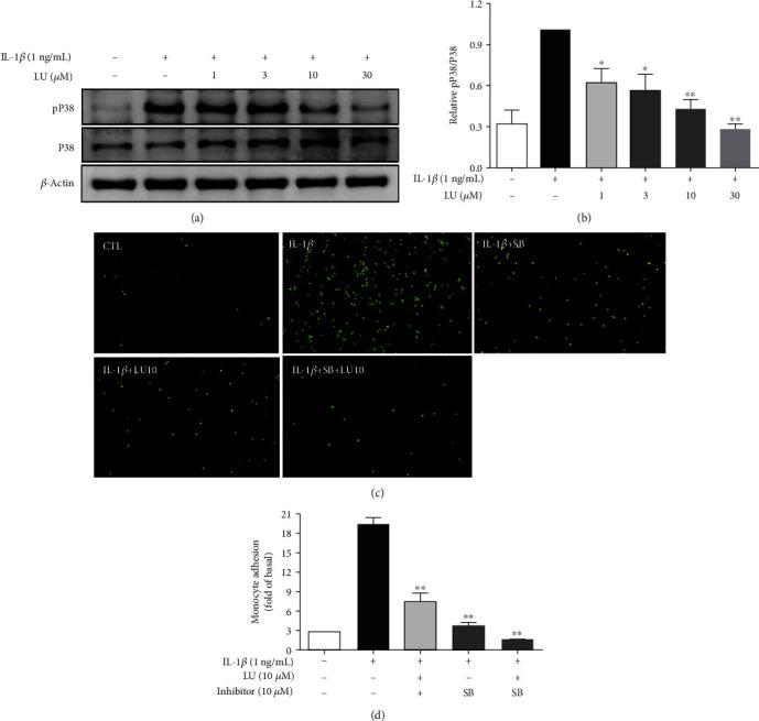 https://cdn.ncbi.nlm.nih.gov/pmc/blobs/563a/7585660/b5526939082e/MI2020-9421340.007.jpg