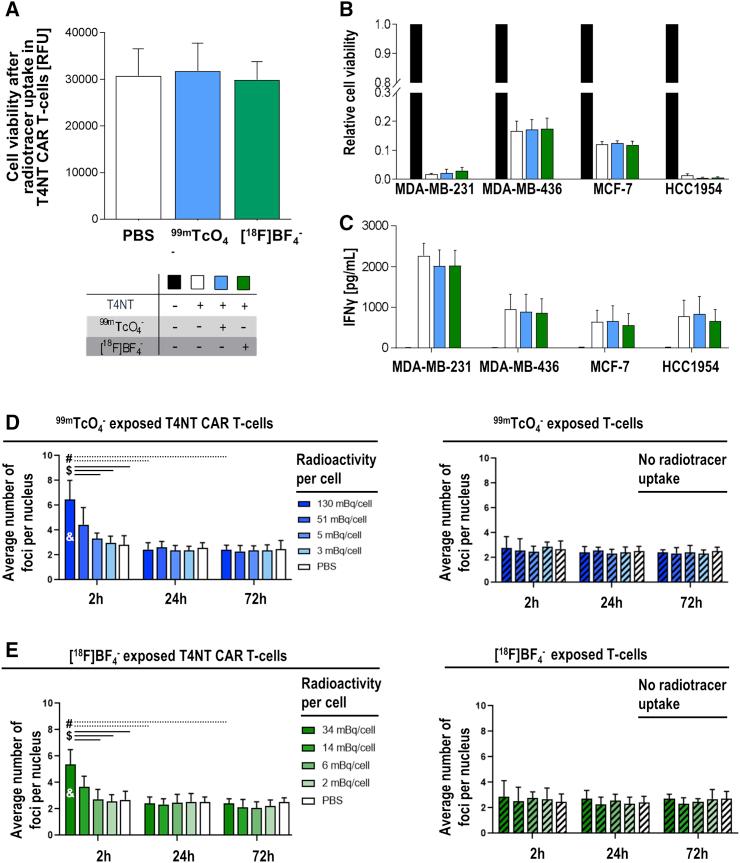 https://cdn.ncbi.nlm.nih.gov/pmc/blobs/563c/7544977/458b0ecfcebe/gr3.jpg