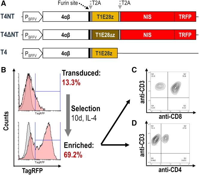 https://cdn.ncbi.nlm.nih.gov/pmc/blobs/563c/7544977/753d6cbc0f04/gr1.jpg