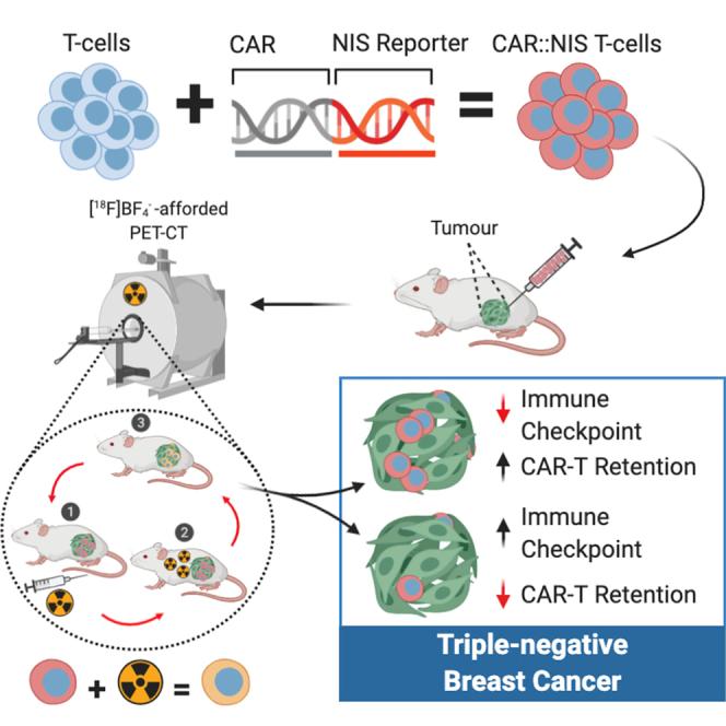 https://cdn.ncbi.nlm.nih.gov/pmc/blobs/563c/7544977/8ae8f38b8ffc/fx1.jpg