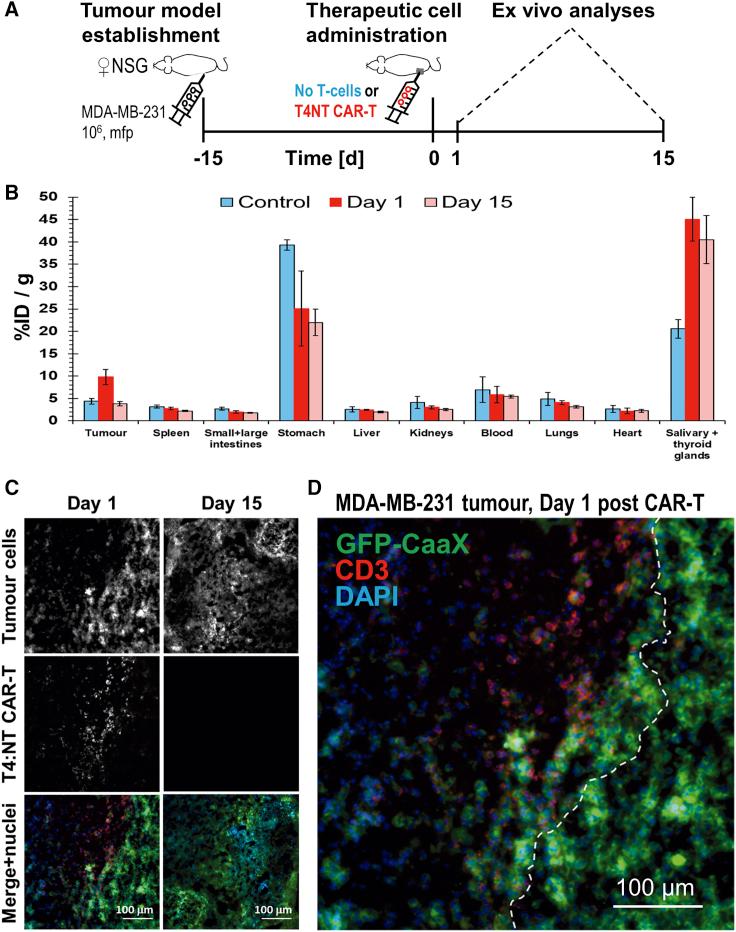 https://cdn.ncbi.nlm.nih.gov/pmc/blobs/563c/7544977/c236fb99a475/gr7.jpg