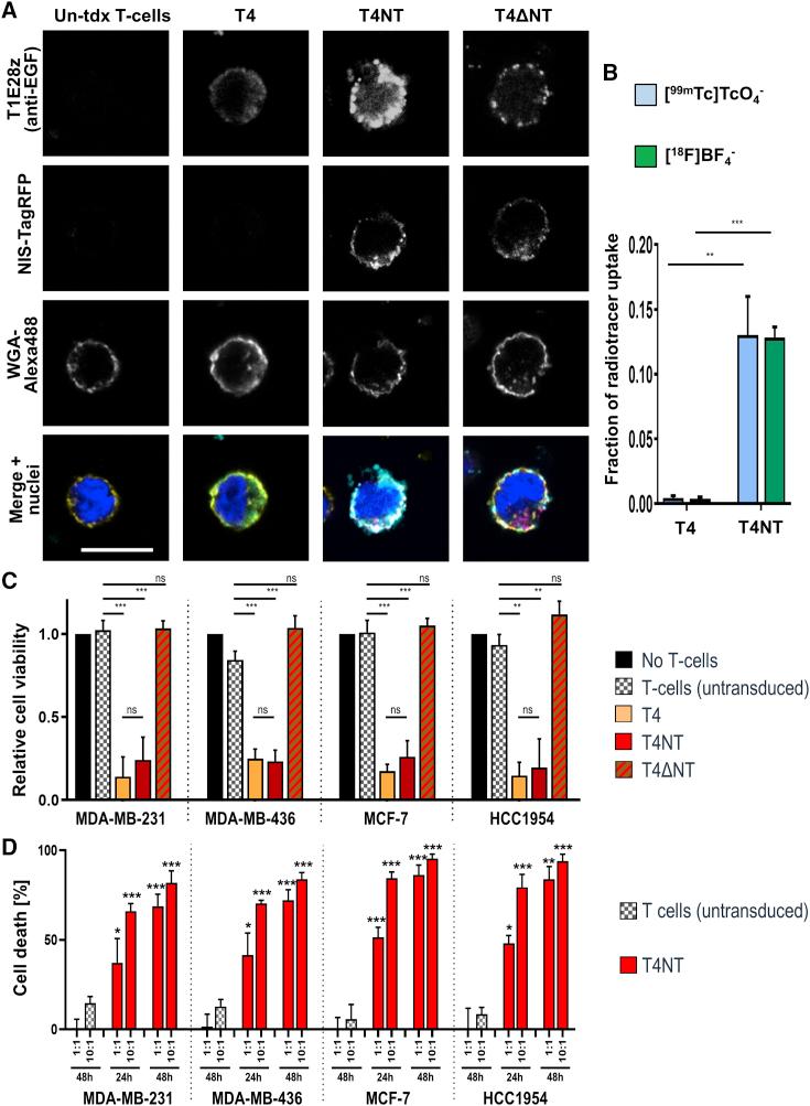 https://cdn.ncbi.nlm.nih.gov/pmc/blobs/563c/7544977/e5800fd8cdfb/gr2.jpg