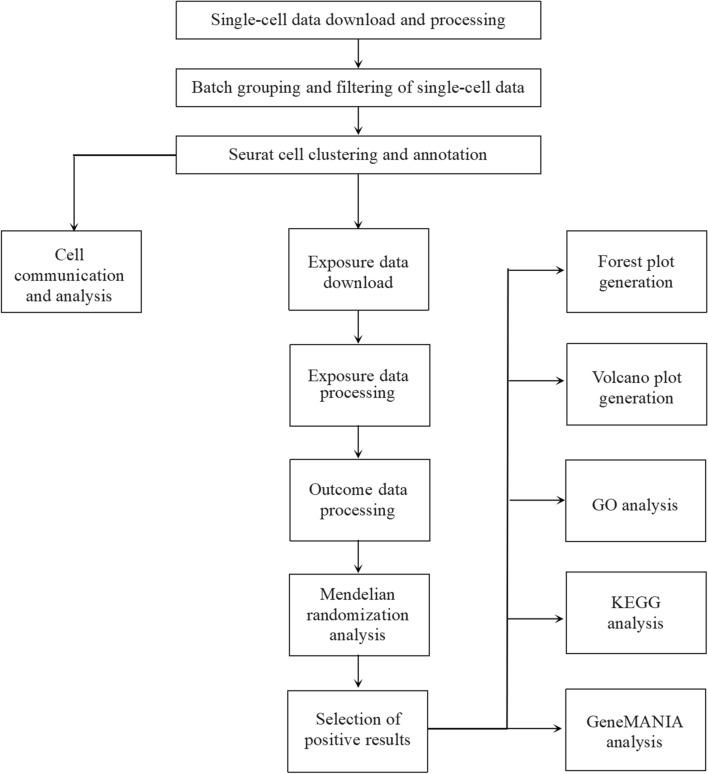 https://cdn.ncbi.nlm.nih.gov/pmc/blobs/563d/12021761/7837003db526/12672_2025_2357_Fig1_HTML.jpg