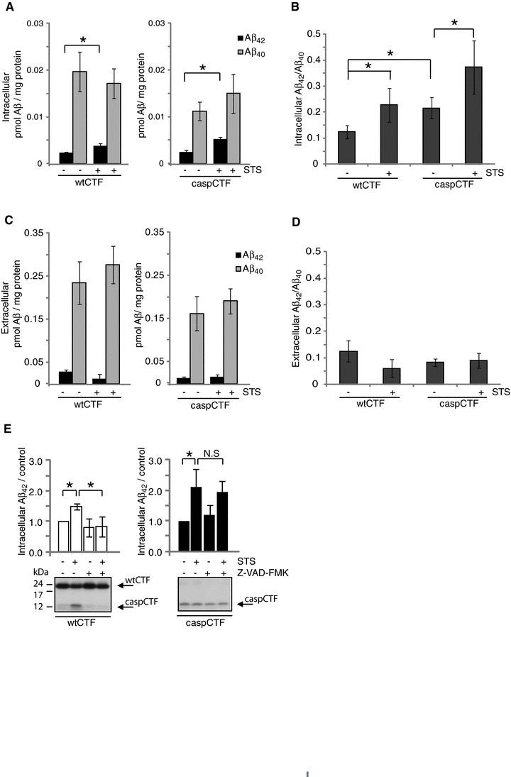 https://cdn.ncbi.nlm.nih.gov/pmc/blobs/563e/4394225/1ae1be4e0307/jcmm0015-2150-f5a.jpg