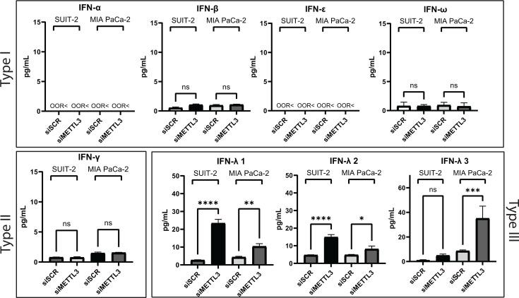 https://cdn.ncbi.nlm.nih.gov/pmc/blobs/563f/12090749/cf418ecdbda0/jvi.02284-24.f009.jpg