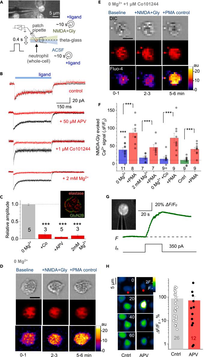 https://cdn.ncbi.nlm.nih.gov/pmc/blobs/5641/10366500/43f29ae001b5/gr1.jpg