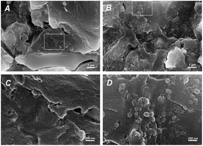 https://cdn.ncbi.nlm.nih.gov/pmc/blobs/5643/6152133/c33c12cc1523/molecules-22-01225-g009.jpg
