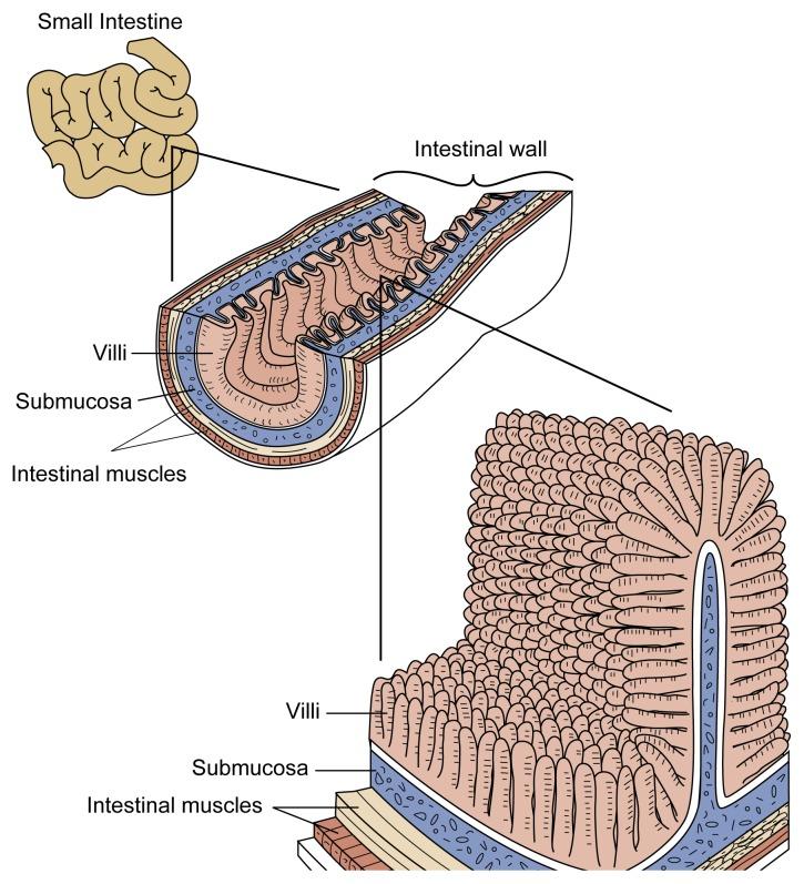 https://cdn.ncbi.nlm.nih.gov/pmc/blobs/5643/6826790/0c19f09c4fb0/arhw-21-1-76f2.jpg