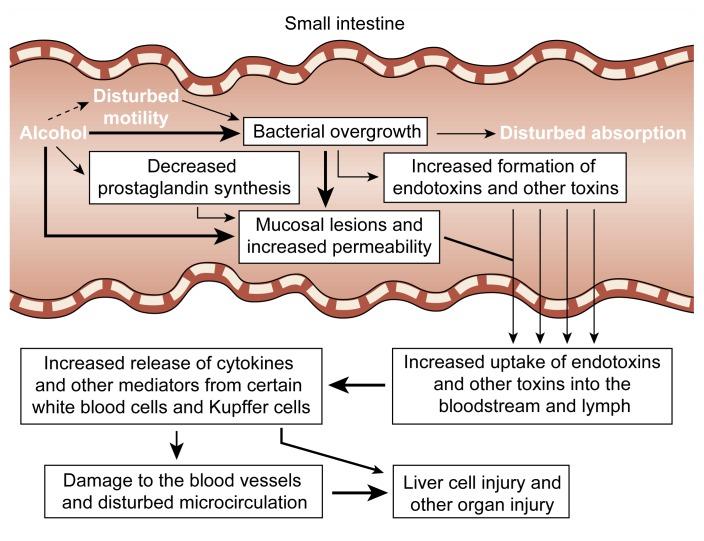 https://cdn.ncbi.nlm.nih.gov/pmc/blobs/5643/6826790/5a23d43d0fd5/arhw-21-1-76f3.jpg