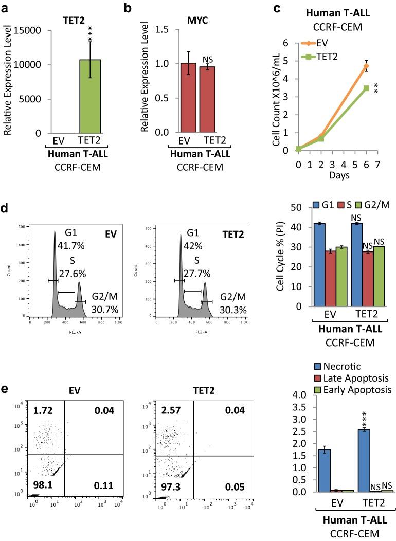https://cdn.ncbi.nlm.nih.gov/pmc/blobs/5644/6604319/7ef5b7518791/13072_2019_278_Fig6_HTML.jpg