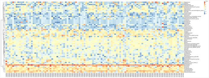 https://cdn.ncbi.nlm.nih.gov/pmc/blobs/5646/10899393/4398fff11709/fmicb-15-1365043-g0004.jpg