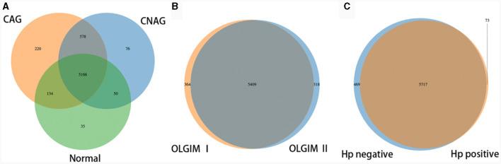 https://cdn.ncbi.nlm.nih.gov/pmc/blobs/5646/10899393/d1ce55b19fd8/fmicb-15-1365043-g0002.jpg