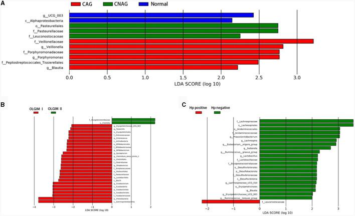 https://cdn.ncbi.nlm.nih.gov/pmc/blobs/5646/10899393/dde4f604dfd8/fmicb-15-1365043-g0008.jpg