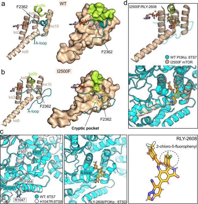 https://cdn.ncbi.nlm.nih.gov/pmc/blobs/5646/12091942/d98780d1285f/ci4c02022_0006.jpg