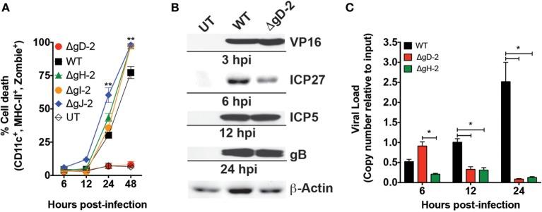 https://cdn.ncbi.nlm.nih.gov/pmc/blobs/5646/5686121/c02e3b08ffe7/fimmu-08-01523-g001.jpg