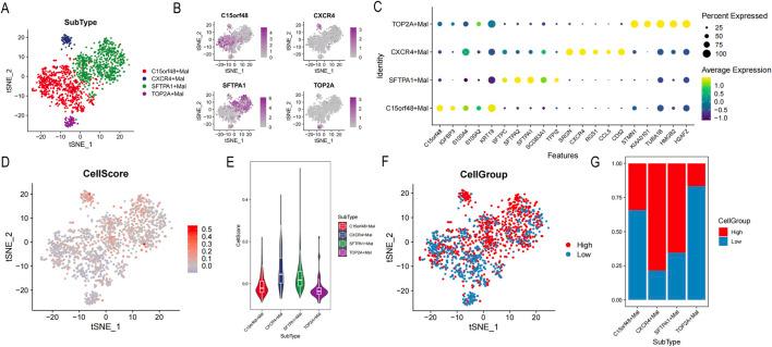 https://cdn.ncbi.nlm.nih.gov/pmc/blobs/5647/11830816/15bc4da93135/fgene-16-1519677-g009.jpg