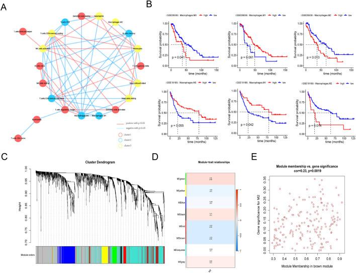 https://cdn.ncbi.nlm.nih.gov/pmc/blobs/5647/11830816/1b682212ea16/fgene-16-1519677-g002.jpg