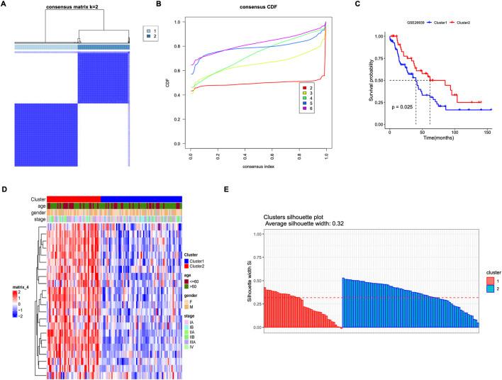 https://cdn.ncbi.nlm.nih.gov/pmc/blobs/5647/11830816/834aeae9269c/fgene-16-1519677-g004.jpg