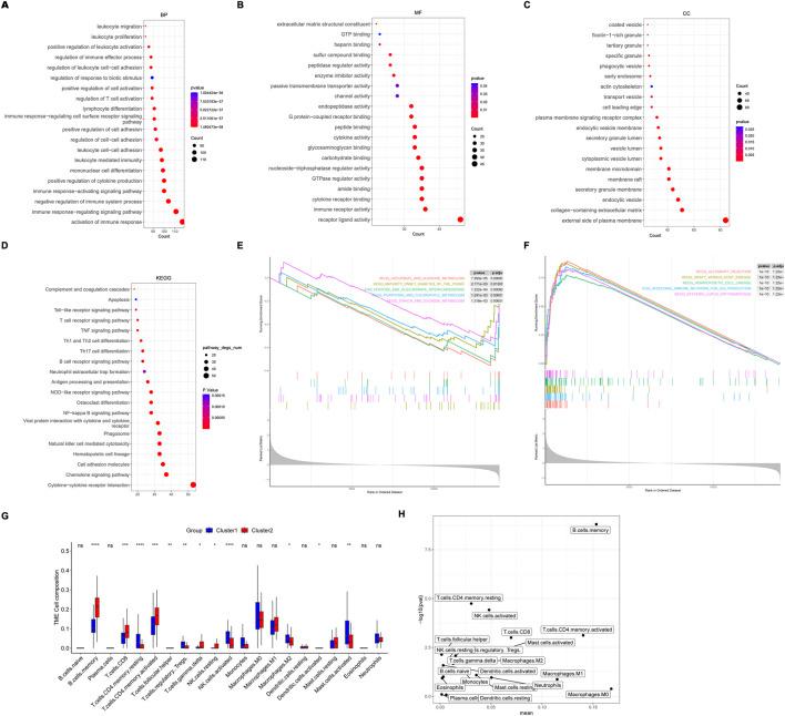 https://cdn.ncbi.nlm.nih.gov/pmc/blobs/5647/11830816/864d34194c03/fgene-16-1519677-g005.jpg