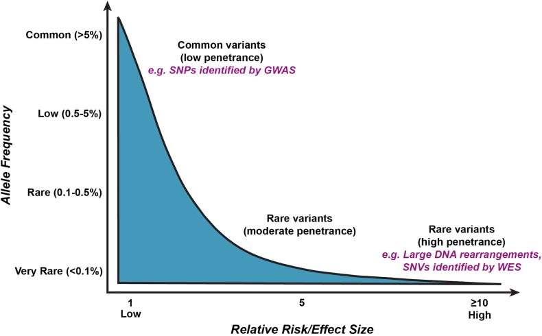 https://cdn.ncbi.nlm.nih.gov/pmc/blobs/5649/12166933/b187231bc51a/gr2.jpg