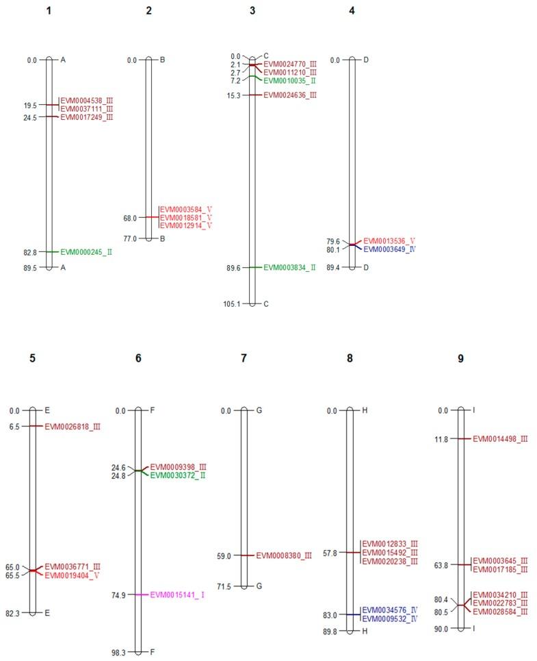 https://cdn.ncbi.nlm.nih.gov/pmc/blobs/5649/6627877/18bb55bcd72e/genes-10-00472-g001.jpg