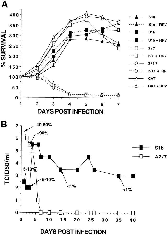 https://cdn.ncbi.nlm.nih.gov/pmc/blobs/5650/2212304/78b2adf07de7/JEM971281.f2.jpg