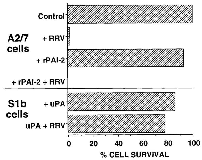 https://cdn.ncbi.nlm.nih.gov/pmc/blobs/5650/2212304/d0785e605c5d/JEM971281.f4.jpg