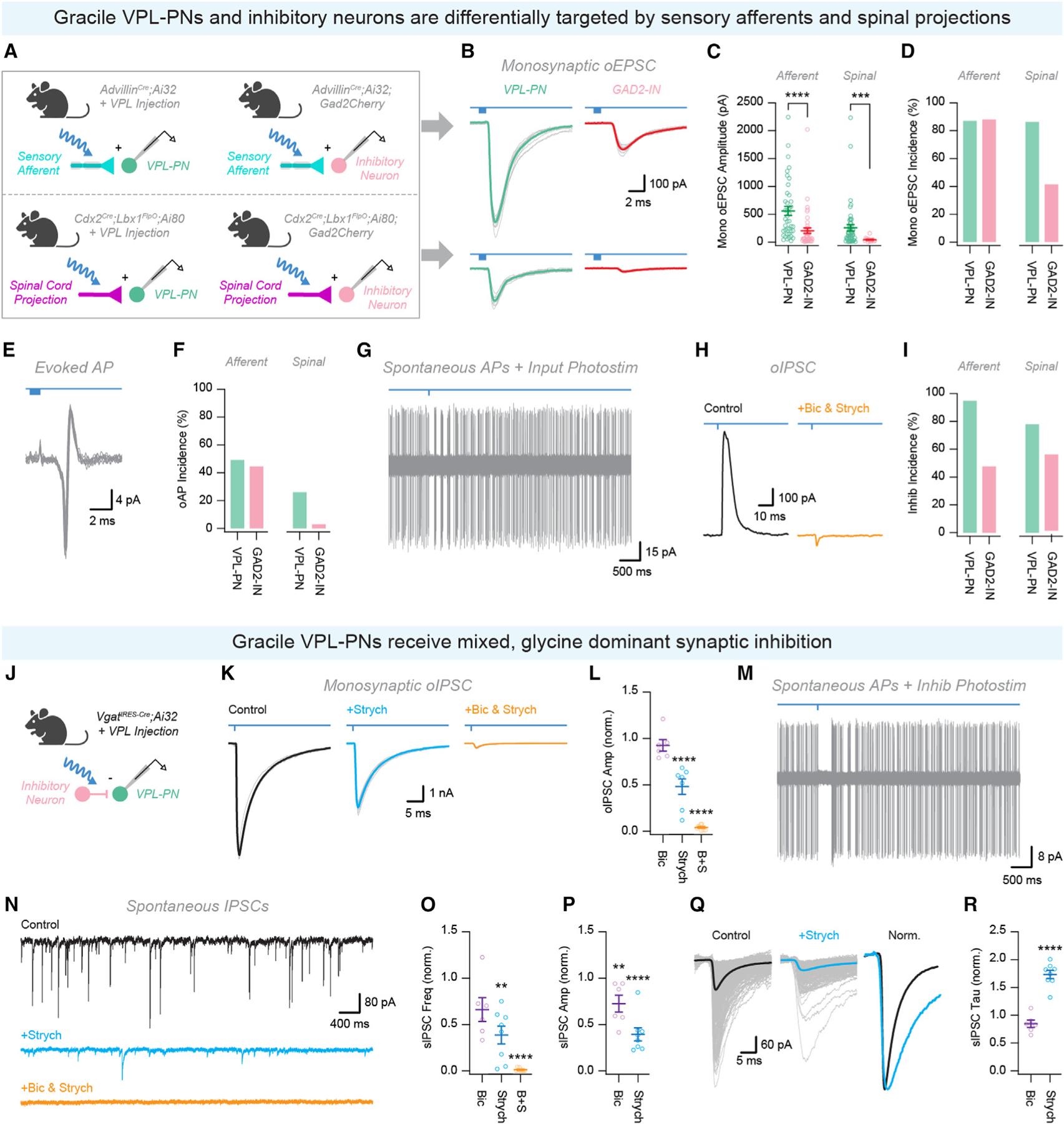 https://cdn.ncbi.nlm.nih.gov/pmc/blobs/5653/12093272/852e17bd3633/nihms-2076674-f0004.jpg