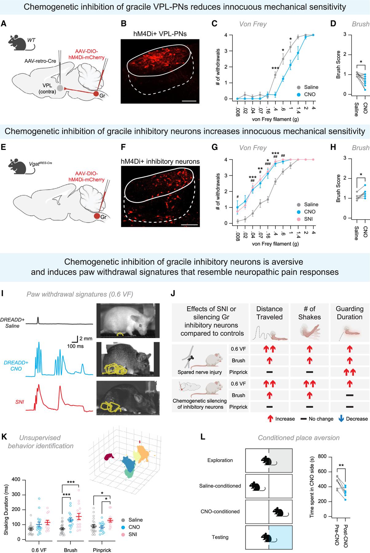 https://cdn.ncbi.nlm.nih.gov/pmc/blobs/5653/12093272/d1a89ddbd472/nihms-2076674-f0005.jpg