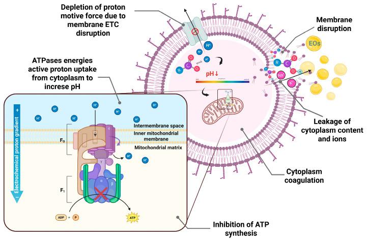 https://cdn.ncbi.nlm.nih.gov/pmc/blobs/5654/12383102/0bfc8bb68ca9/antibiotics-14-00803-g002.jpg