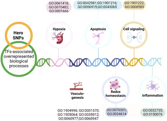 https://cdn.ncbi.nlm.nih.gov/pmc/blobs/5656/12327200/3d533eaa3e12/j_jib-2024-0043_fig_002.jpg