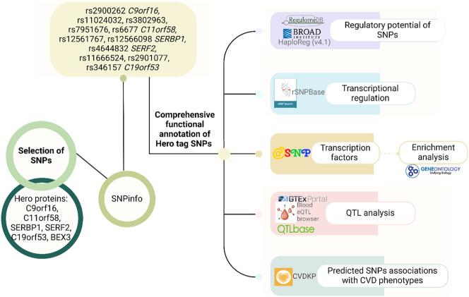 https://cdn.ncbi.nlm.nih.gov/pmc/blobs/5656/12327200/bc4a7dbec4e1/j_jib-2024-0043_fig_001.jpg