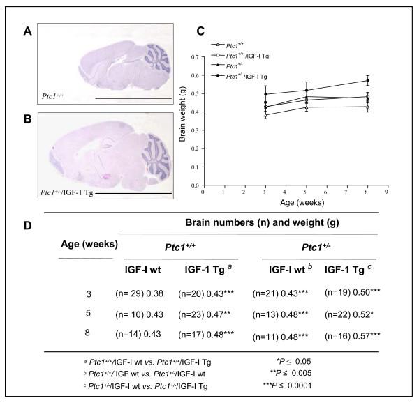 https://cdn.ncbi.nlm.nih.gov/pmc/blobs/5656/2846887/8810fe6c463f/1476-4598-9-53-4.jpg